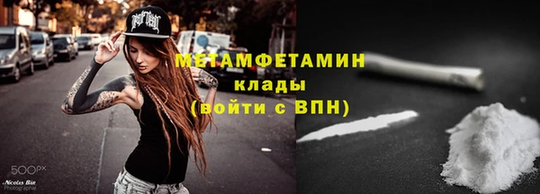 шишки Елизово