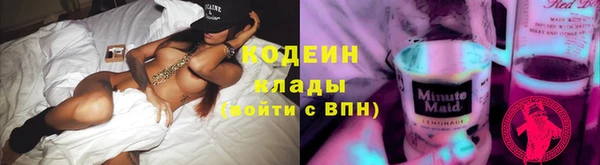 шишки Елизово