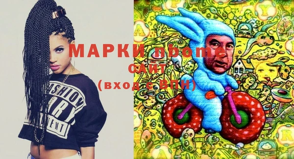шишки Елизово