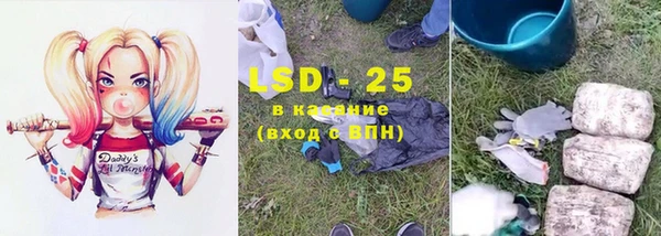 шишки Елизово